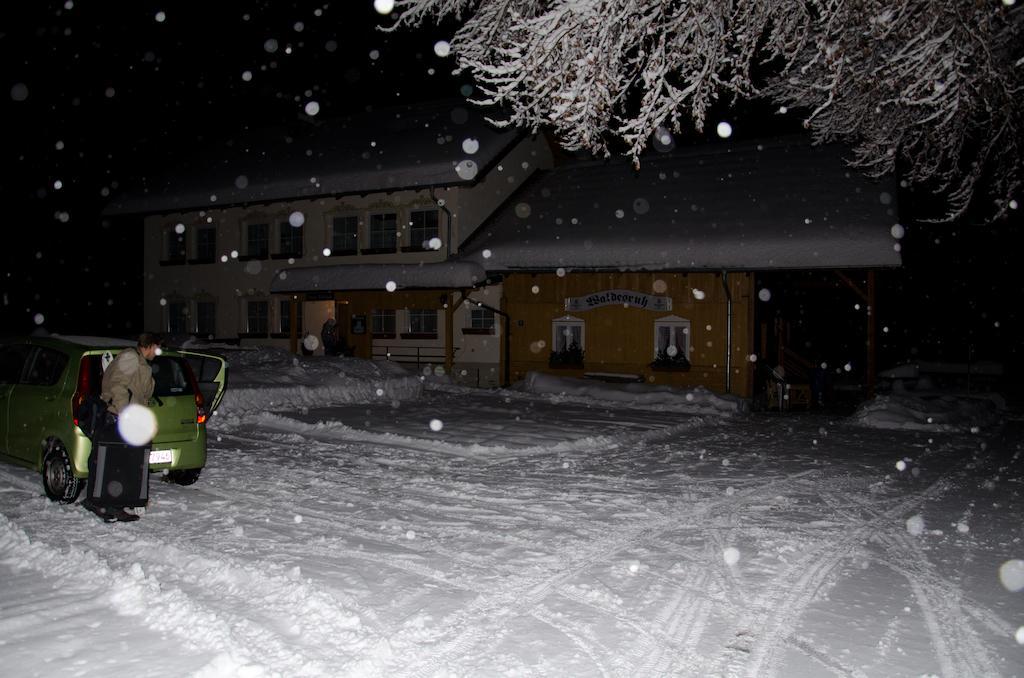 Pension Waldesruh Sankt Oswald-Riedlhuette Buitenkant foto